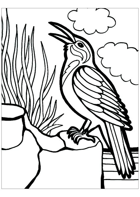 beautiful bird coloring pages