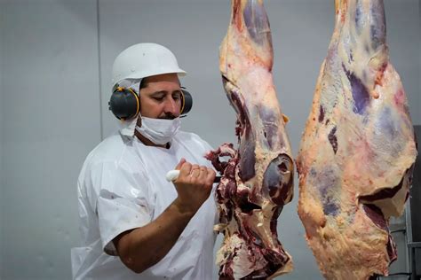 La Exportación De Carne Uruguaya Crece Un 20 Y Llega A 545 Millones
