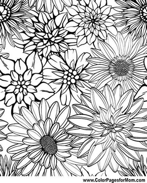 printable flower coloring pages  adults images color pages