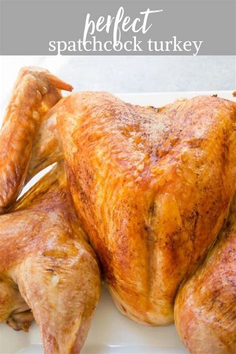 spatchcock turkey spatchcock turkey recipe fast thanksgiving recipes