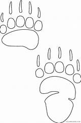 Coloring Bear Paw Print Decal Coloring4free Template Pages sketch template