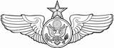 Aircrew Enlisted Senior Badge Air Force Level Graphic sketch template