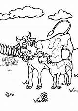 Cow Lembu Zwierzęta Tulamama Mewarna Kertas Kanak Haiwan Kolorowanki Dzieci Malowanki sketch template