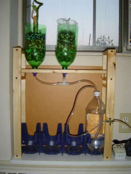 diy hydroponocs      hydroponics system