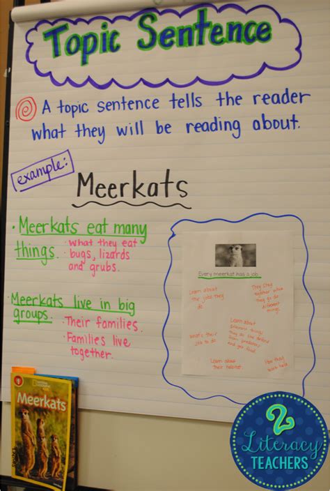 literacy teachers topic sentences  owls