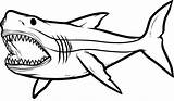 Shark Coloring Pages Printable Megalodon Sharks Kids Drawing Print Big Angry Clipart Jose San Tail Drawings Tiger Great Mouth Search sketch template