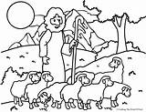 Coloring Pastor Sheep Feed Pages Getdrawings sketch template