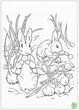 Peter Rabbit Coloring Popular sketch template