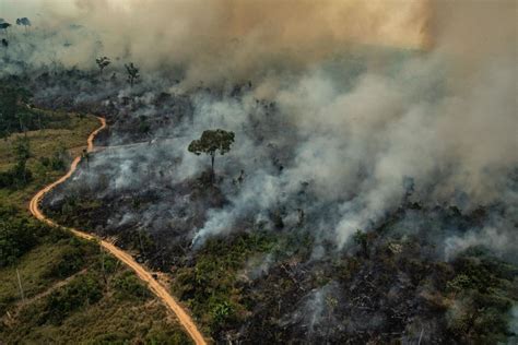 amazon wildfires demand  international response south china morning