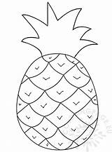 Pineapple Clipart Fruit Coloring Cliparts Clipground Coloringpage Eu sketch template