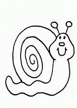 Snail Pages Coloring Clipart Colouring sketch template