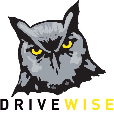 drivewise mto approved driving school ontario