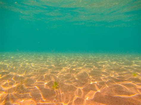 seabed underwater  stock photo public domain pictures