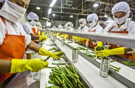 organic food processing plant inaugurated  uttar pradesh indias