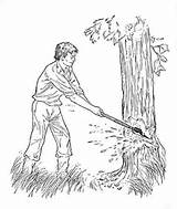 Clipart Tree Down Cut Chop Lumberjack Wood Cutting Trees Clip Coloring Library Cliparts Pages Lincoln Clipground Removal His Bulletin Kingdom sketch template