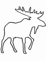 Moose Outline Coloring Pages Drawing Template People Clipart Printable Antlers Silhouette Sketch Cliparts Getdrawings Clip Vector Library Face Cut sketch template