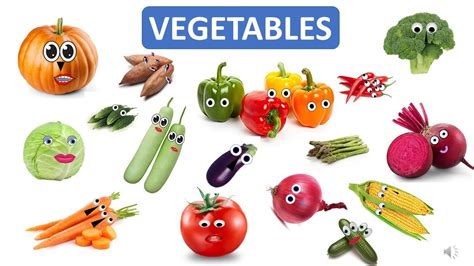learn  vegetables  kids vegetables  kids vegetable