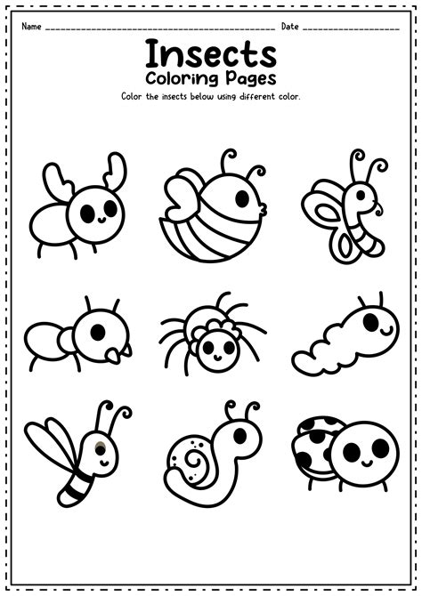images  kids bug  insects worksheets insect  kids