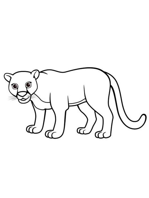 panther coloring pages   print panther coloring pages
