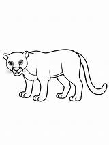 Panther sketch template