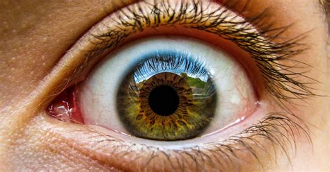 eye color meaning quiz quizonycom