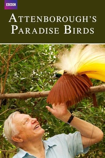 Attenborough S Paradise Birds Nude Scenes Naked Pics And Videos At
