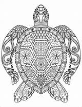 Coloring Abstract Pages Animals Turtle Coloringbay sketch template