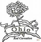 Ohio Coloring State Pages Brutus Drawing Buckeye Carnation Flower Band Buckeyes Football Michigan Bow Pennsylvania Mistletoe Majorette Mariachi Christmas Color sketch template
