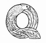 Quetzal sketch template