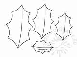 Holly Leaf Template Christmas Templates Leaves Printable Coloring Coloringpage Eu Ornament Paper Felt Applique Diy Ornaments Flowers Crafts Tree Reddit sketch template