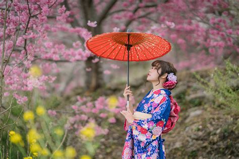 asian model women long hair dark hair cherry blossom traditional