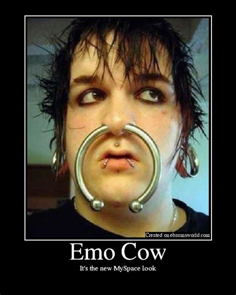 emo cow picture ebaum s world
