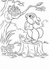 Coloring Pages Disney Bunny Colouring sketch template
