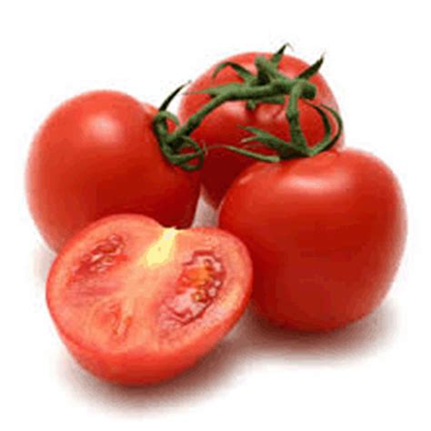 quelle saison pour manger la tomate