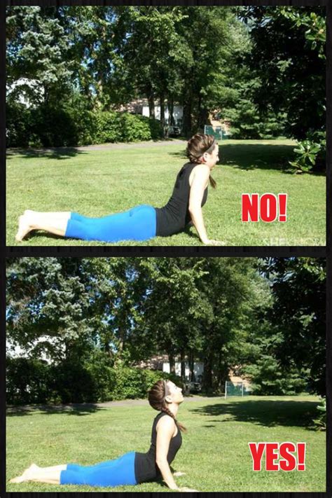 correct yoga poses sheknowscom yoga poses exercise  fit