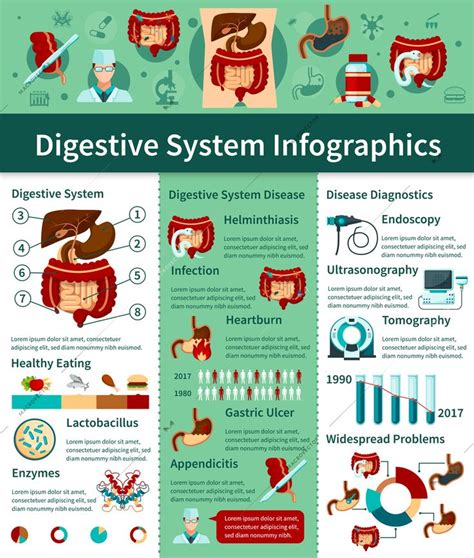 Colored Digestive System Flat Infographics With Different Types Of