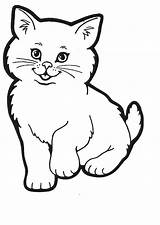 Cat Coloring Pages Colouring Color Colour Cats Printable Kitty Kitten Drawing Sheet Kids Sheets Coloriage Preschool Chat Cartoon Print Clipart sketch template