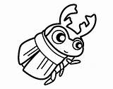 Escarabajo Escarabajos Pelotero Scarabeo Bosta Colorare Rola Insectos Pintar Stercorario Disegno Besouros Escarabat Acolore Insetti Dibuixos Dibuix Piloter Imagui sketch template