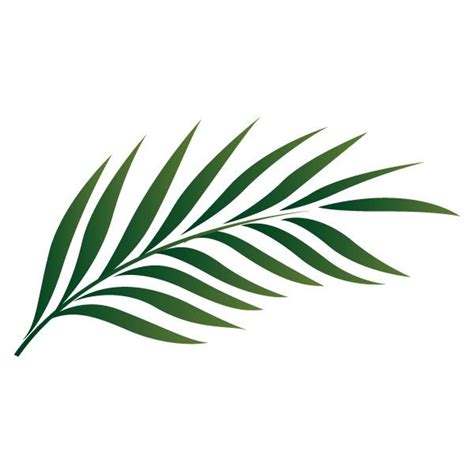 palm leaves outline