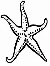 Coloring Starfish Pages Printable Kids Fish Star Sea Creatures sketch template