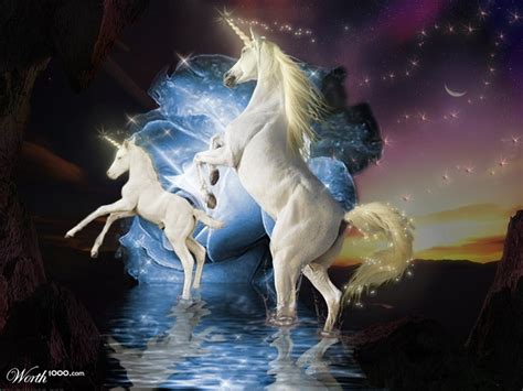 images  unicorn  pinterest unicorn  fairies