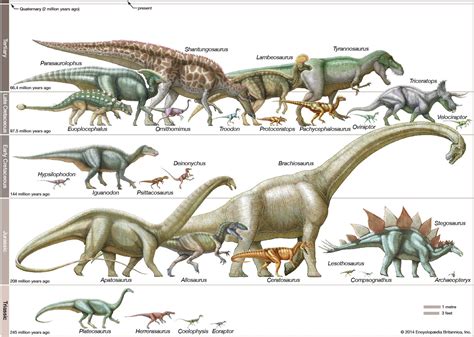 dinosaur sauropodomorpha britannica