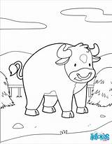 Colorear Toro Pasto Vache Pasture Enfants Hellokids Montagne Designlooter sketch template