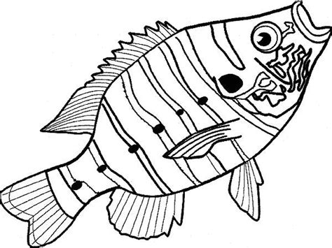 bass fish coloring pages  adults coloring pages