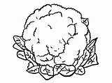 Cauliflower Coliflor Chou Sayur Mewarna Sayuran Vegetable Coliflores Menta Kubis sketch template