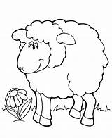 Eid Adha Colorir Kolorowanki Owce Ovelhas Sheep Mubarak Ovelha Desenhos Lamb Carneiro Mewarnai Susu Familyholiday Animal Gelas Ovelhinhas Caminho Brilhou sketch template
