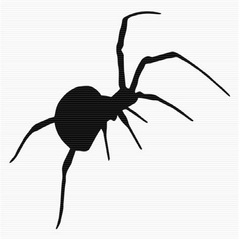 Spider Clipart No Background 10 Free Cliparts Download Images On