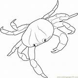 Crab Coloring Land Red Pages Coloringpages101 Online sketch template
