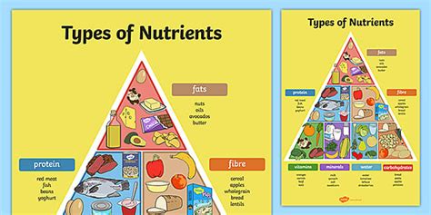 types  nutrients pyramid poster nutrients  food