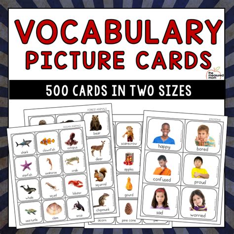 vocabulary picture cards  measured mom